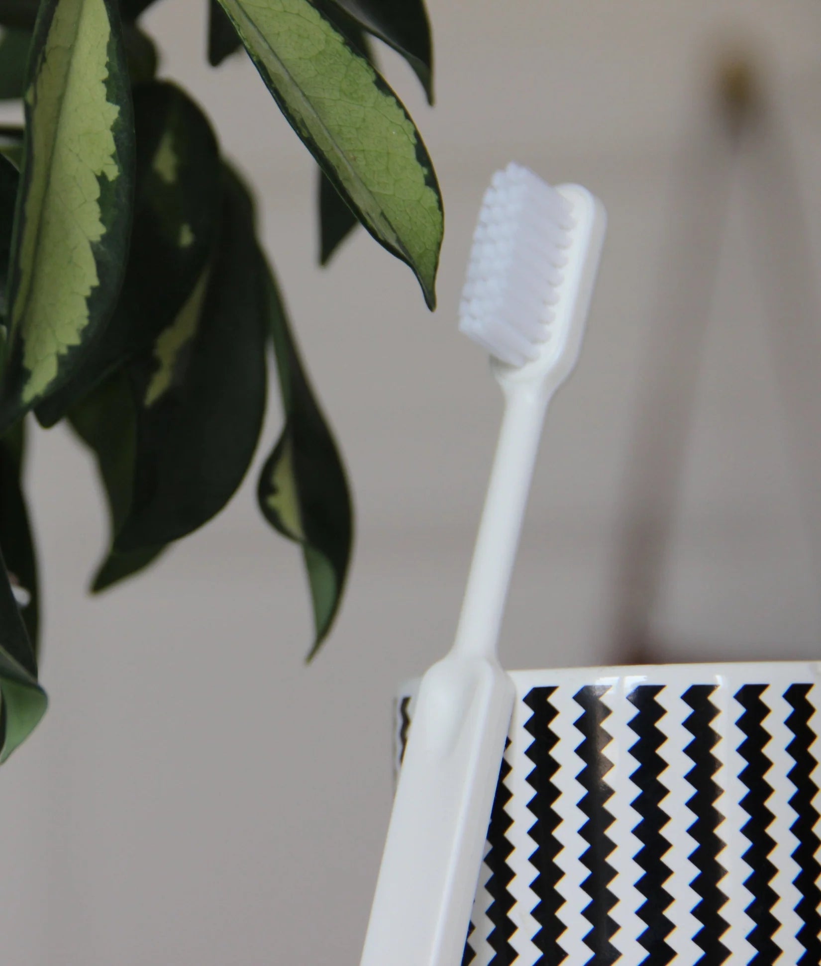 Spazzolino ricaricabile in bioplastica Caliquo – Made in France