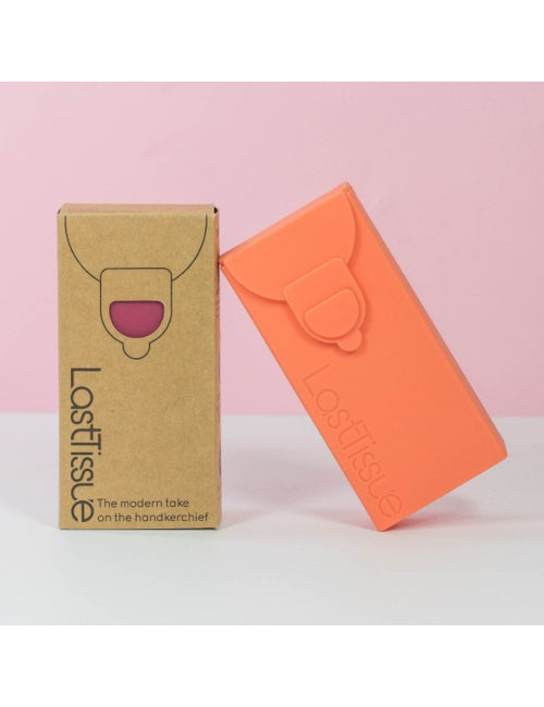 Fazzoletti lavabili con custodia LastTissue