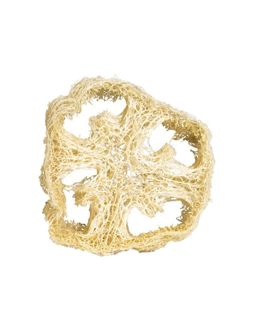 Luffa Portasapone (spugna vegetale italiana) Linea CO.SO.