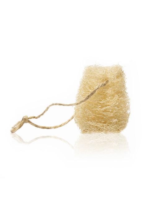Spugna per piatti in luffa