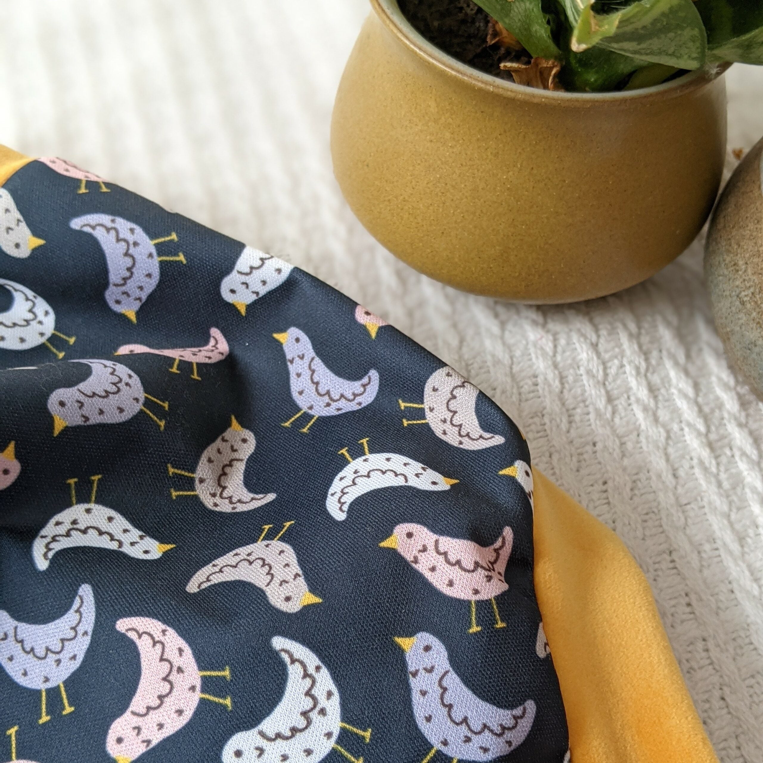 Cover evolutiva Bloome