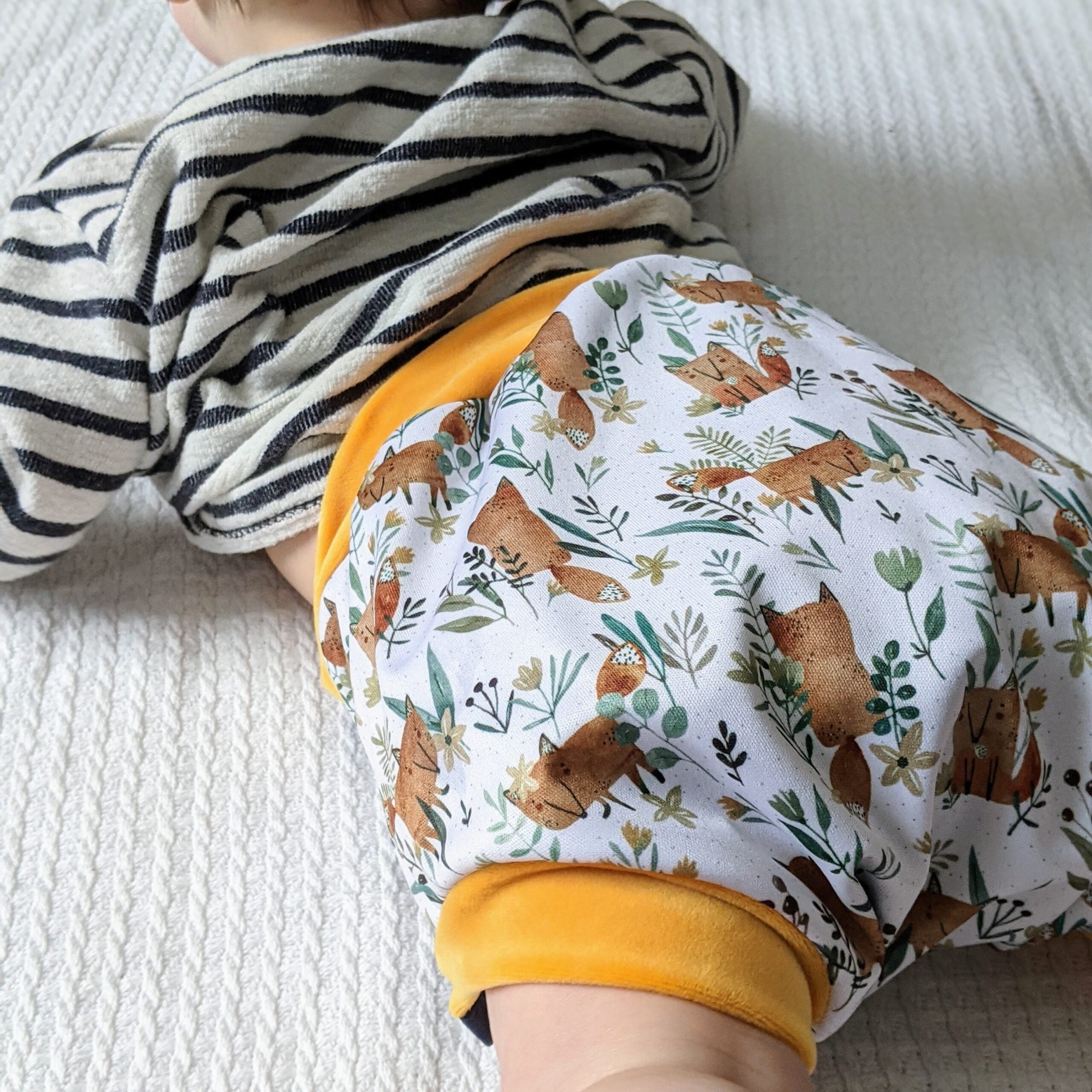 Cover evolutiva Bloome