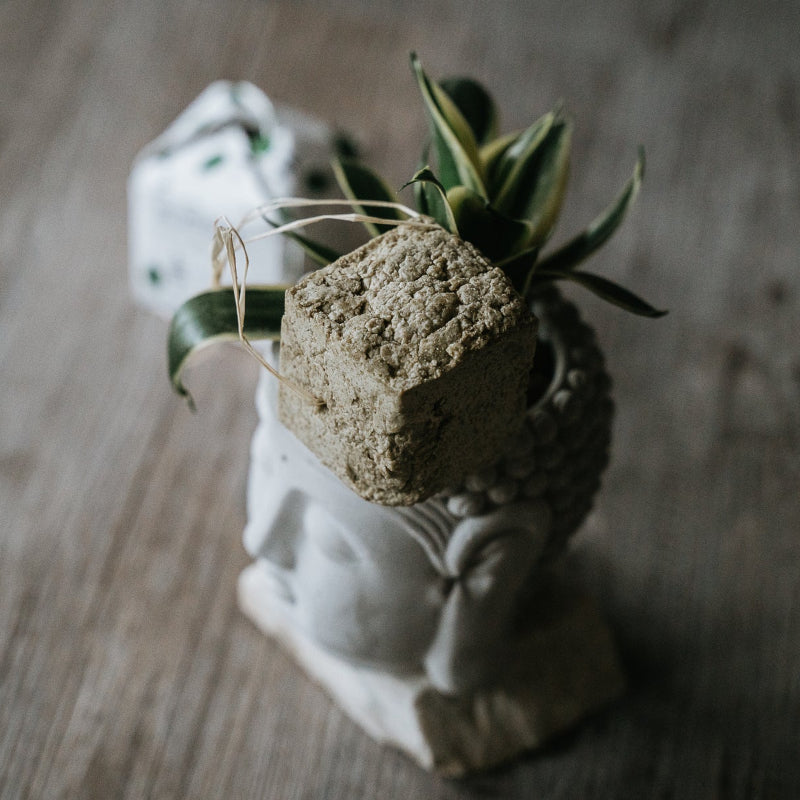 Incomparabile Shampoo solido antiforfora naturale ethical grace