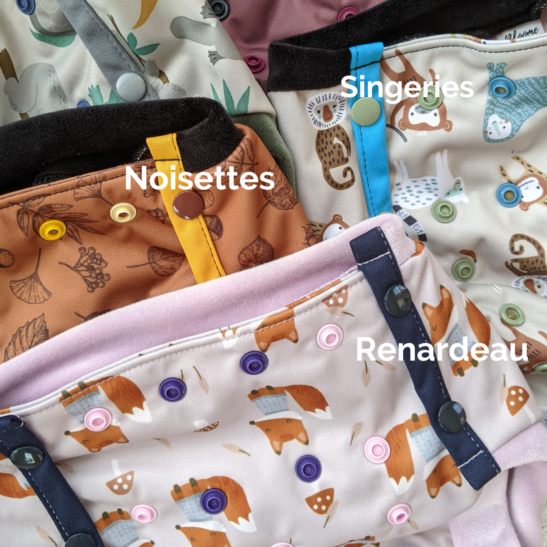 Cover evolutiva Bloome