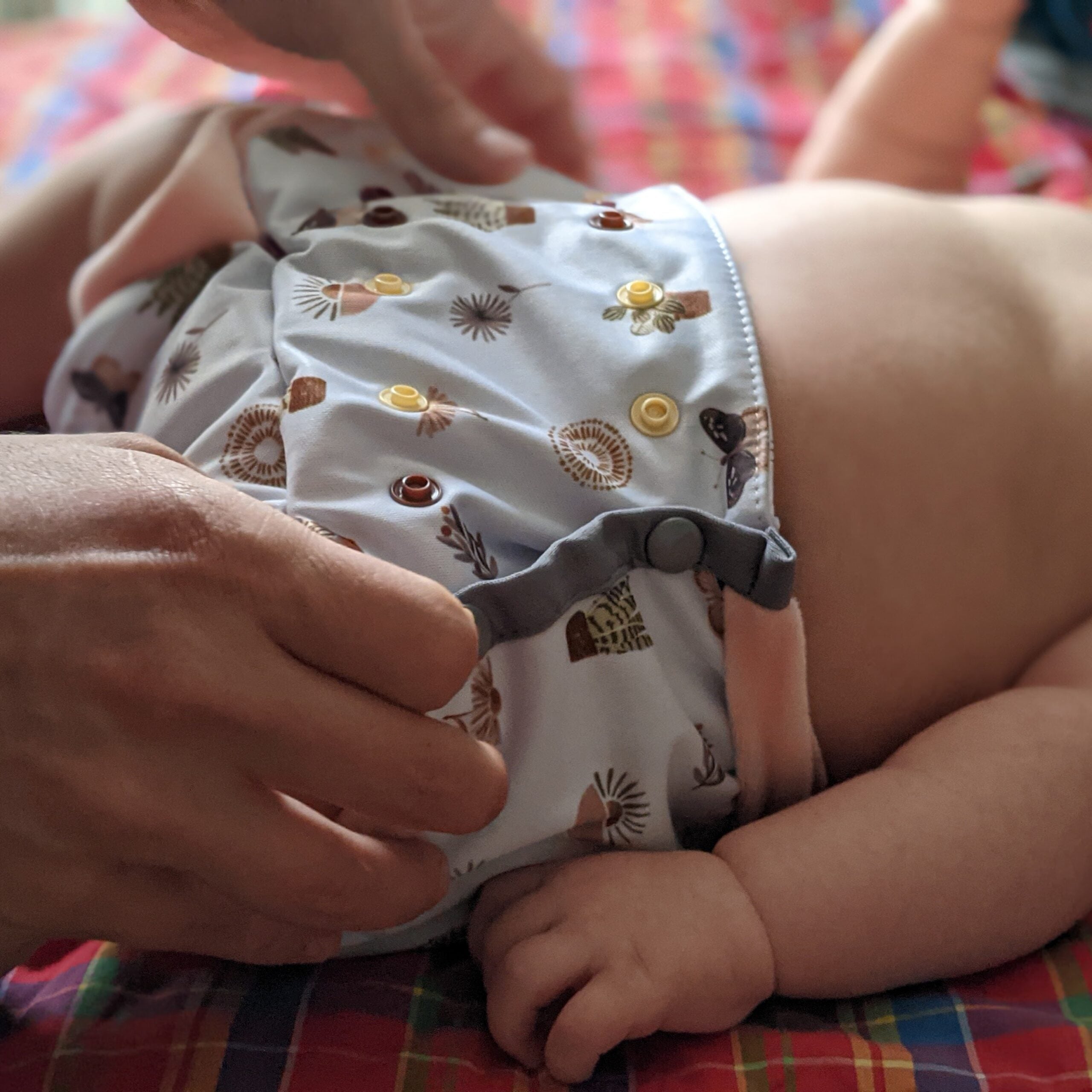 Cover evolutiva Bloome